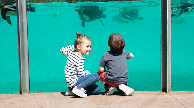 Two children view penguins underwater at Penguin Beach London Zoo