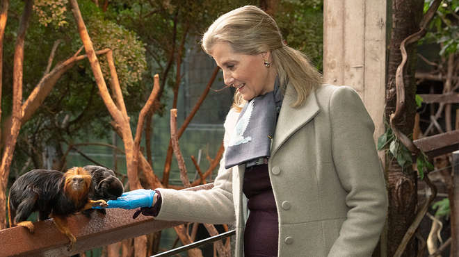 HRH The Countess of Wessex feeds monkeys from in Rainforest Life