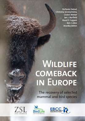 Wildlife Comeback in Europe report