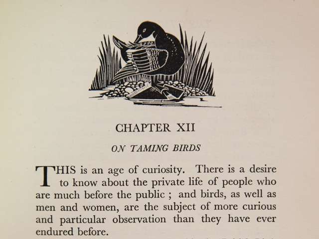 Heading of Chapter XII Taming birds p. 191 in `Charm of Birds'  by Viscount Grey of Fallodon with a woodcut illustration by Robin Gibbings, published 1927.