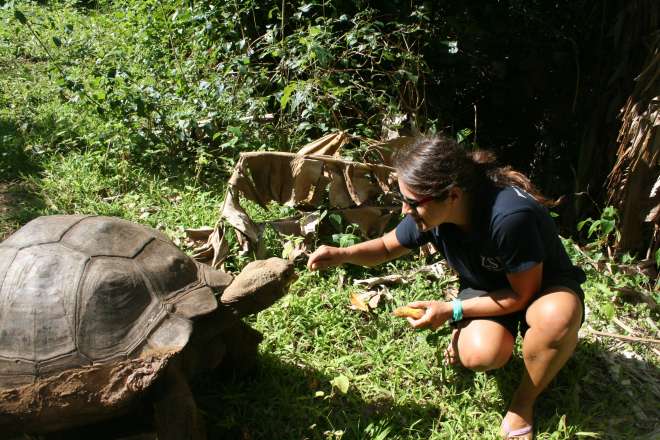 Ana meeting Mrs T the Galapagos tortoise