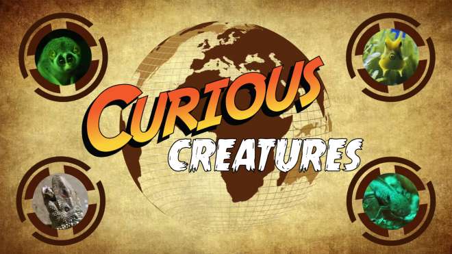 Curious Creatures Logo