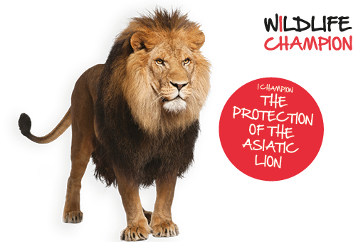 I Champion the Protection of the Asiatic Lion