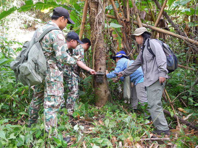 Rangers and ZSL Thailand tiger team setting up a camera trap