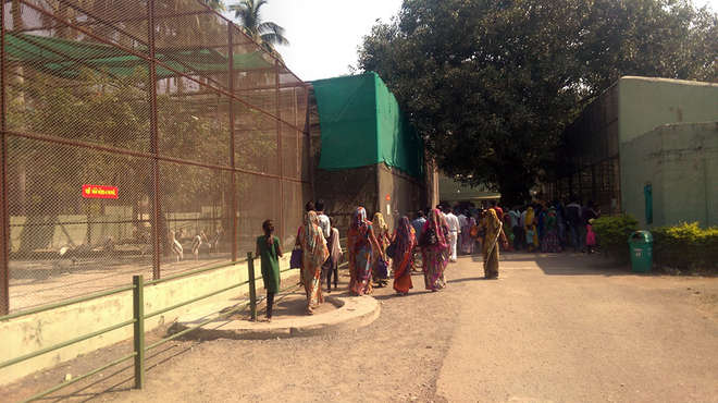 Visitors at Sakkarbaug Zoo