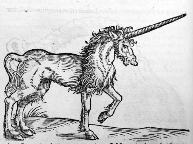 Unicorn from Konrad Gessner's Historiae Animalium
