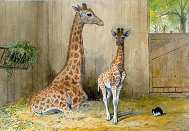 A painting of a giraffe with young and the `giraffe house cat'