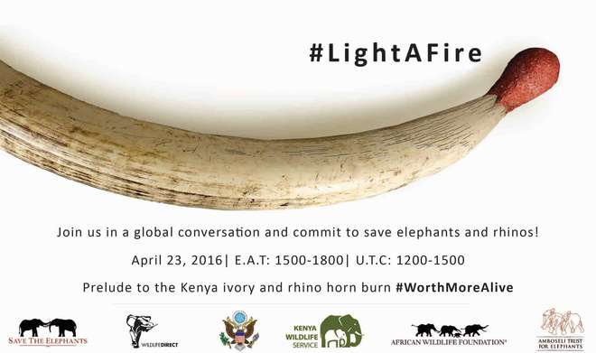 Light a fire logo Kenya ivory burn