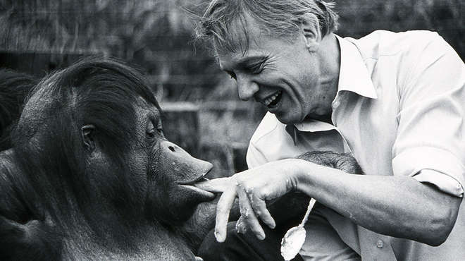 Sir David Attenborough and Bulu the orangutan