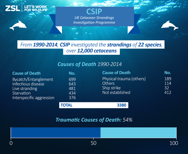 CSIP infographic