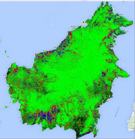Forest cover change map of Borneo
