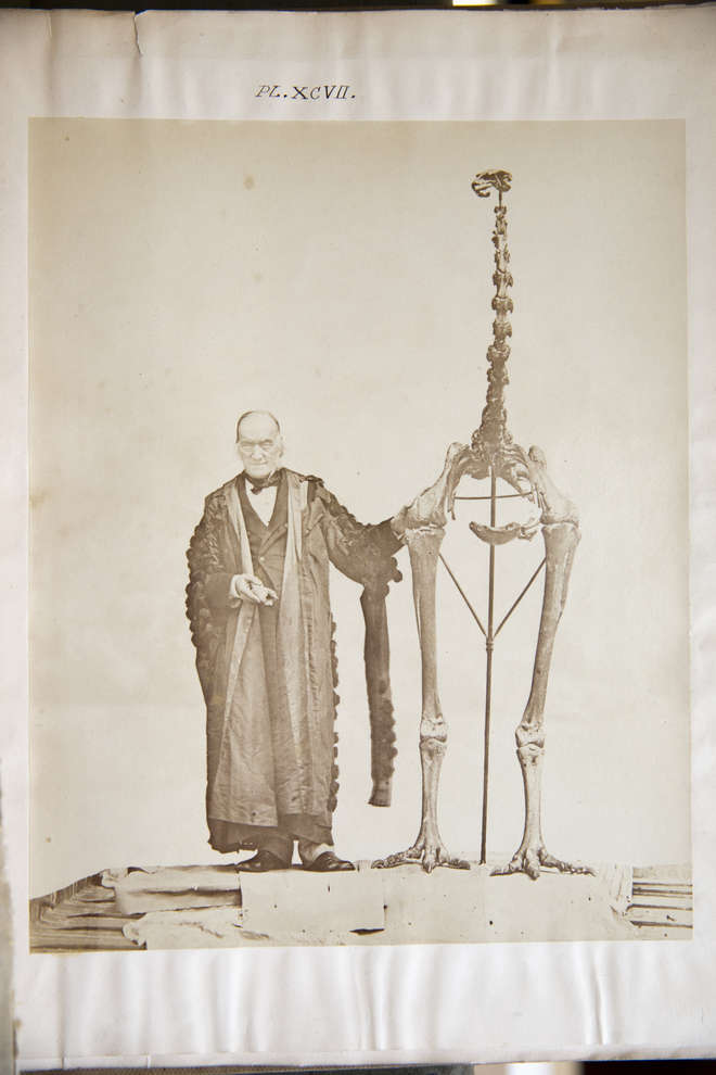 Sir Richard Owen with a skeleton of a giant moa. Image from ‘Memoirs on the extinct wingless birds of New Zealand … / Richard Owen’ London : Van Voorst, 1879