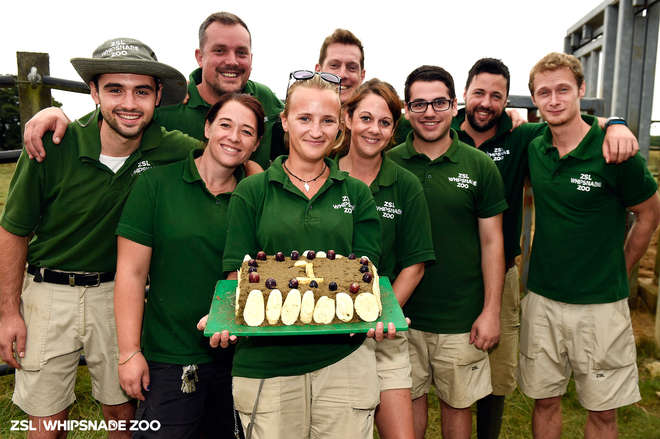 Bali's keepers with his birthday cake