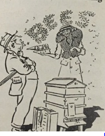 Image of man standing by bee hive; bees spelling out 'bees'