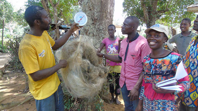 Weighing nets with Net-Works in Cameroon