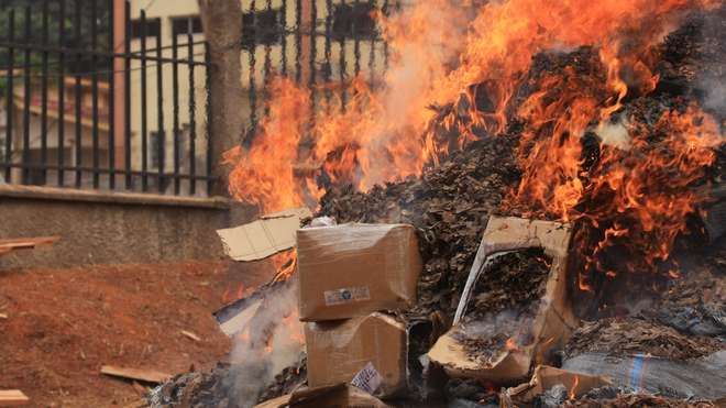 Pangolin scale burn in Cameroon