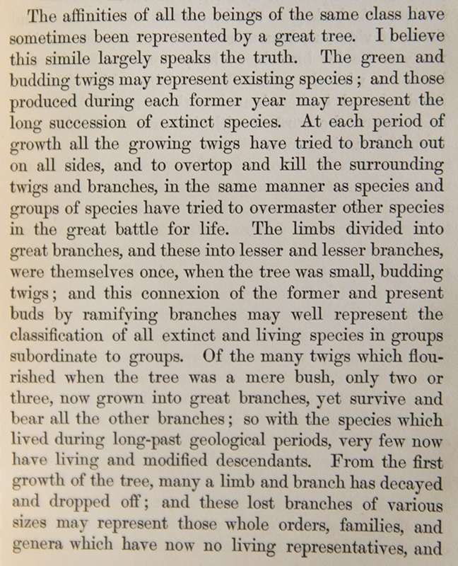Text from On the Origin of Species - The affinities of all beings..sometimes represented as a great tree