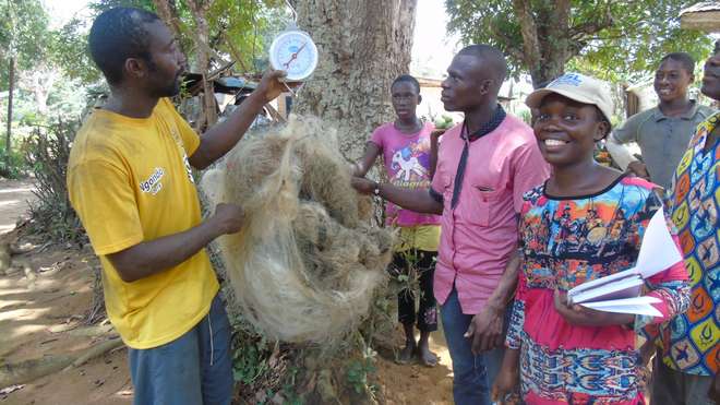 The local communities have worked tirelessly to collect the nets