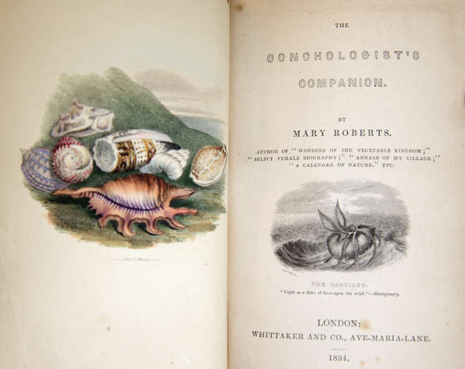 Title page of Mary Roberts book The Conchologist's companion, 1834 with colour illustration of sea shells