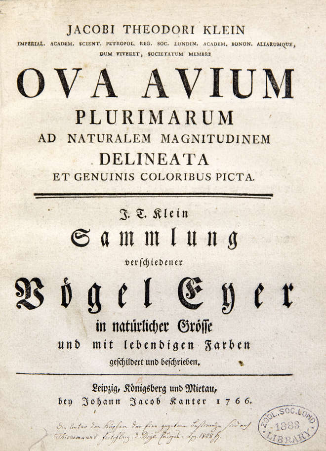 Title page in Latin of Klein's book on bird eggs published in 1766