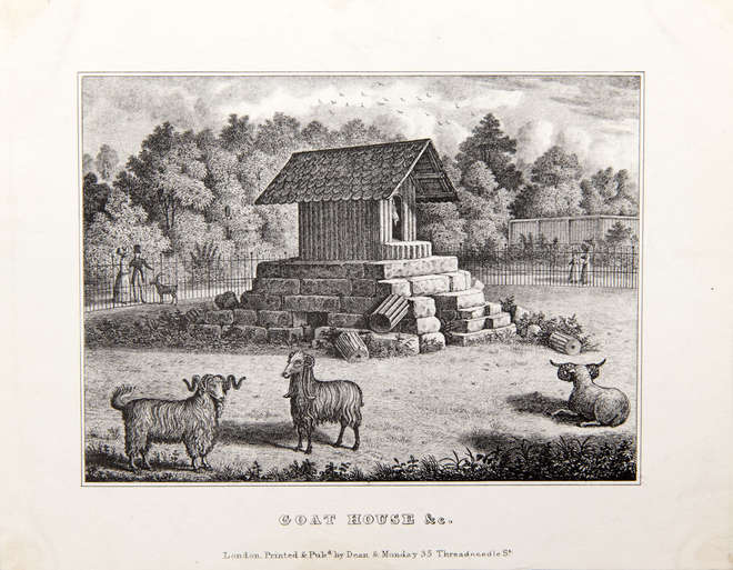Black and white illustration of a wooden goat house with goats in the foreground