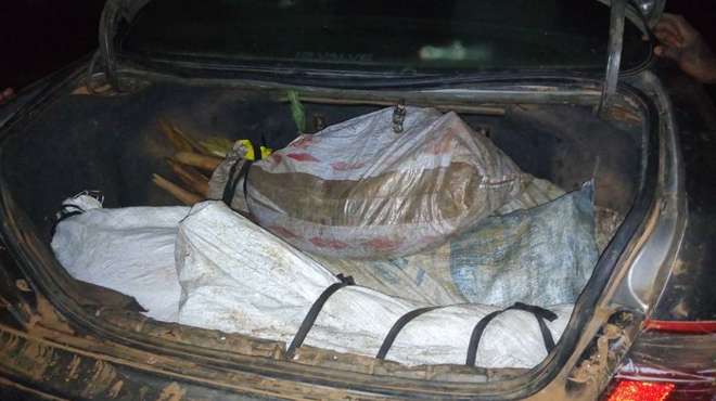 Ivory seized close to the town of Djoum in the southern Dja region, Cameroon