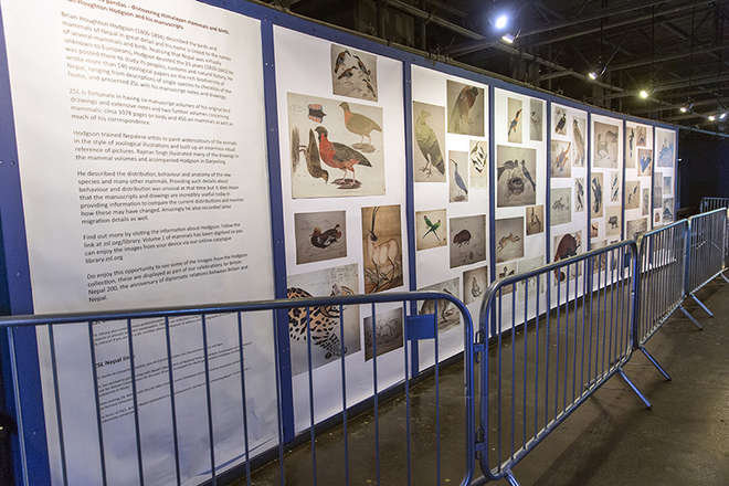 A display of drawings of mammals and birds of Nepal in the Aquarium of ZSL London Zoo