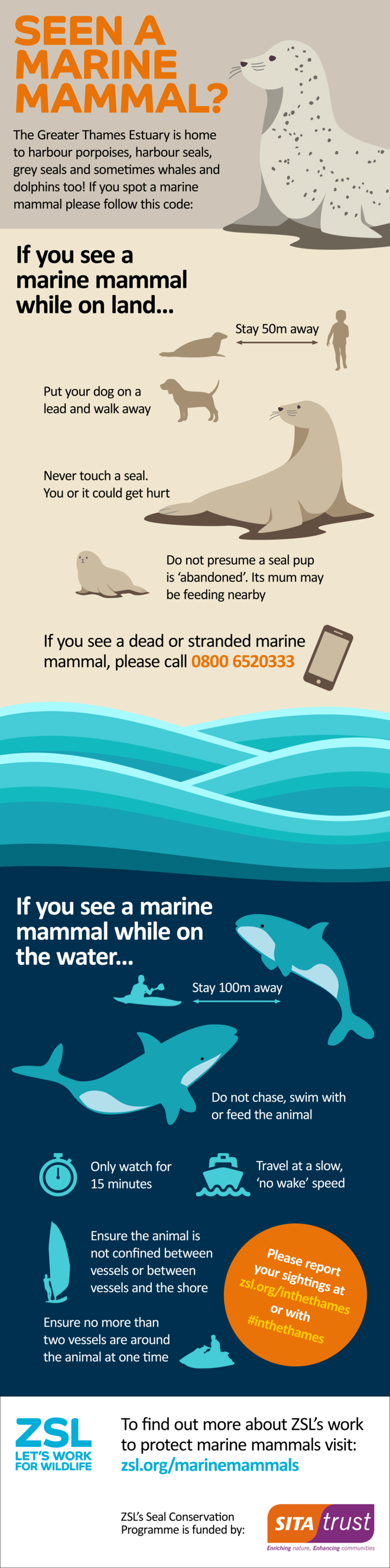 Marine Mammal Code of Conduct