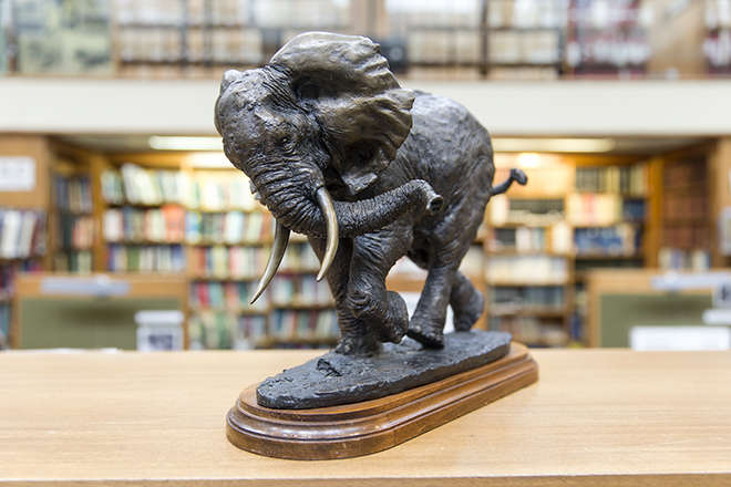 A bronze sculpture of a striding bull African elephant in ZSL Library