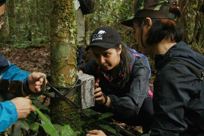 Picture of people fitting a camera trap to a tree in a rainforest