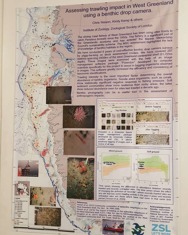 Educational poster of the impacts of trawling in West Greenland