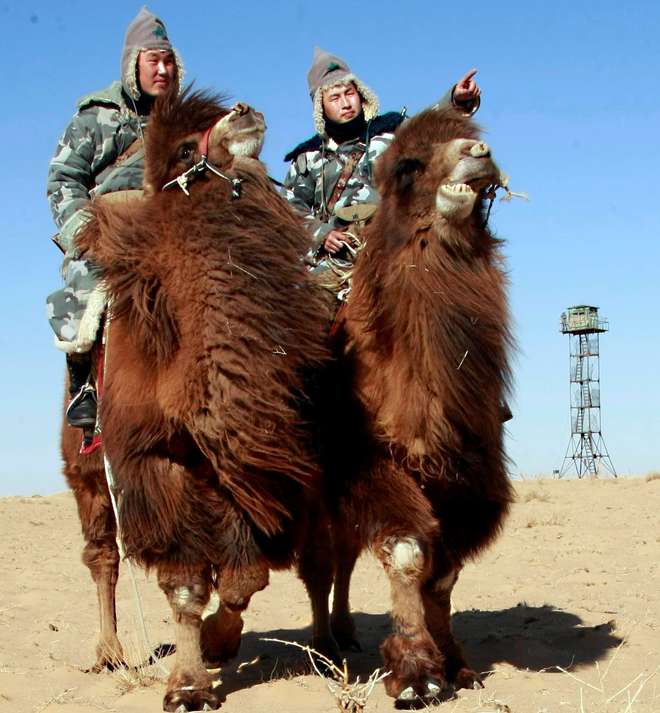 Photograph of two members of the border patrol on camel-back with watch-tower in background.