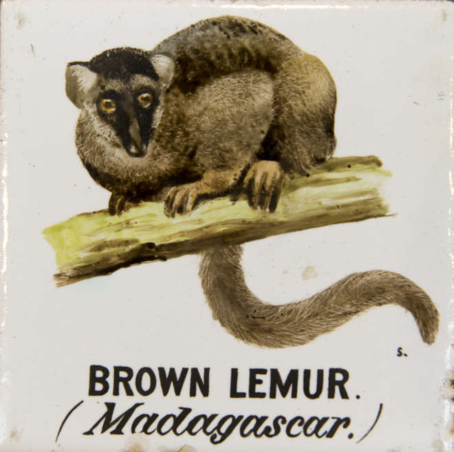 Painting of a brown lemur on a white tile - full view