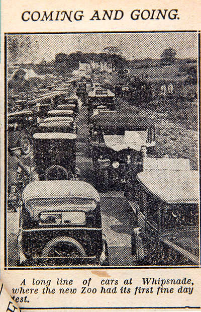 Old newspaper clipping with photo of queuing cars with the caption 'A long line of cars at Whipsnade, where the new Zoo had its first fine day test'