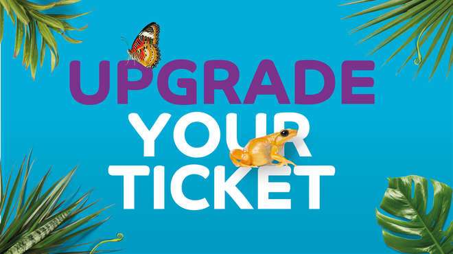 'upgrade your ticket' wording