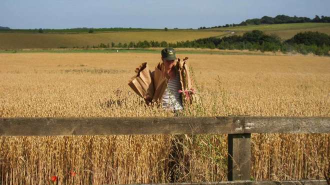 Photo - Dr Alexa Varah in the middle of a field of ripe wheat, carrying two large paper bags of samples