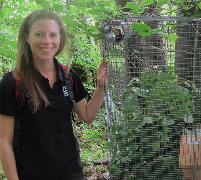 Wildlife vet Tammy Shadbolt at a dormouse release site