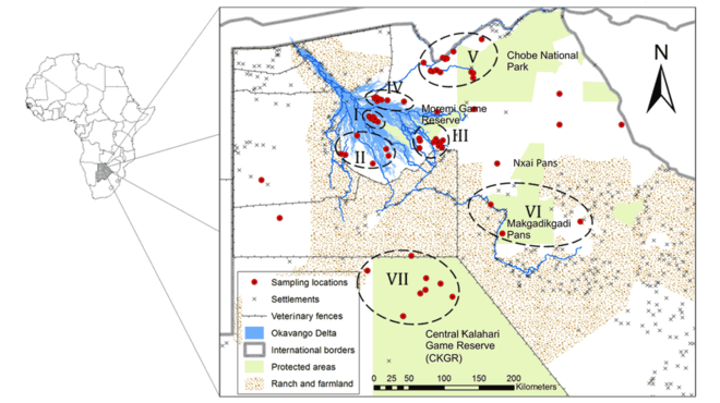 Image - Illustrated map of the KAZA area, showing settlements, lion populations and the sampling locations