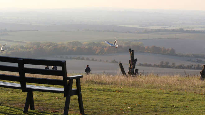 a bench overlooking beautiful scenic views