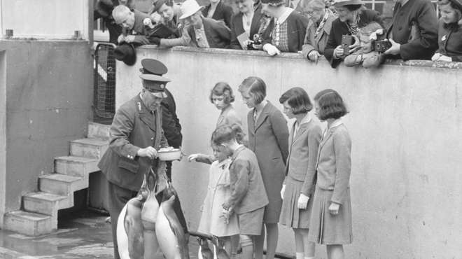 A group of royal children feeding pengins at London Zoo