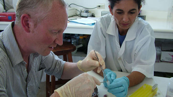 Two scientists wearing rubber gloves investigating a dead animal