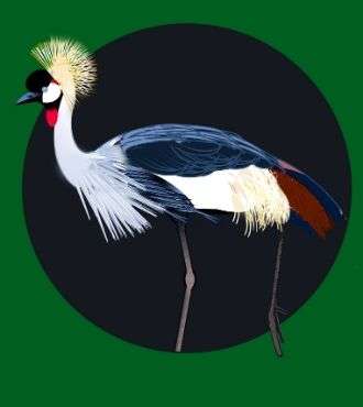 Artwork of a crowned crane