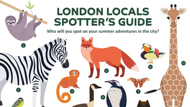 ZSL London Zoo Spotters Guide