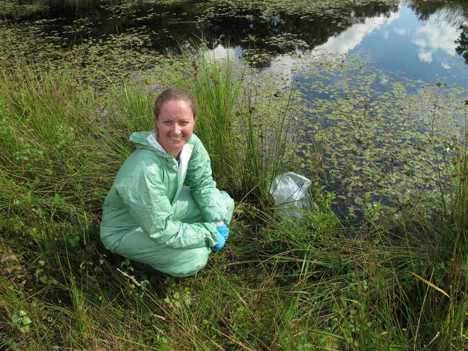 ECZM graduate Helle Hydeskov releasing pool frog tadpoles