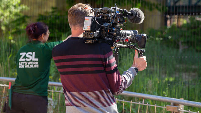 Camera filming at London Zoo with Zookeepers