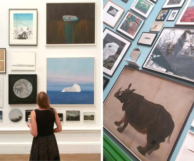 Imagery of wildlife, icebergs, forests and oceans at the Royal Academy's 2019 Summer Exhibition