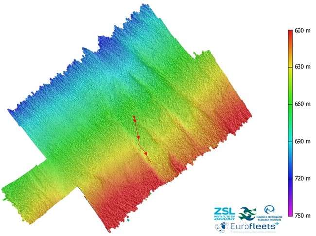 A colourful map of the seafloor
