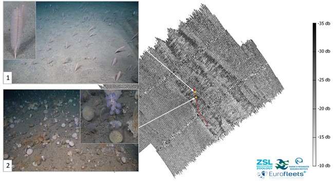 Backscatter map of the seafloor, alongside photos of the seafloor.