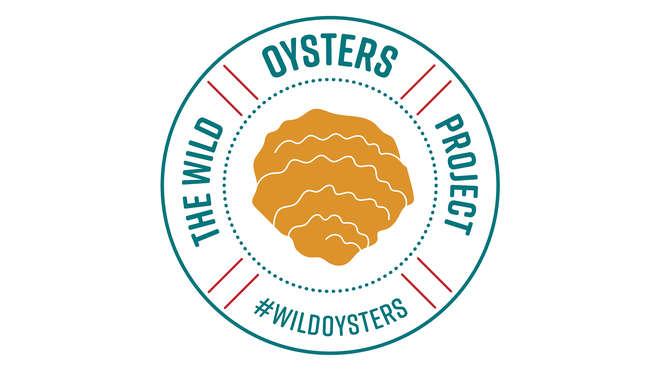 wild oysters logo