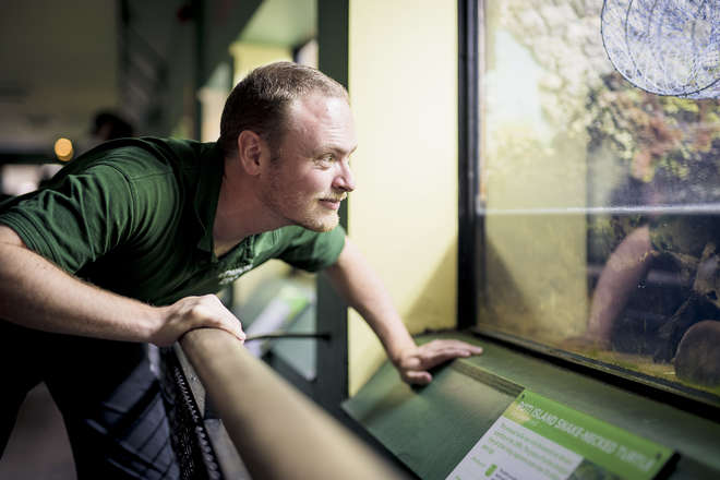 Dr Chris Michaels, Team Leader of Reptiles and Amphibians at London Zoo